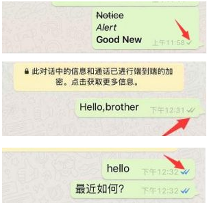 whatsapp中文怎么读_whatsapp英文怎么发音