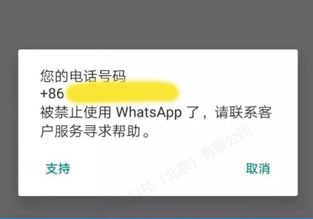 whatsapp添加好友教程_whatsapp如何添加好友账号