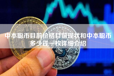 中本聪币_中本聪币是什么意思