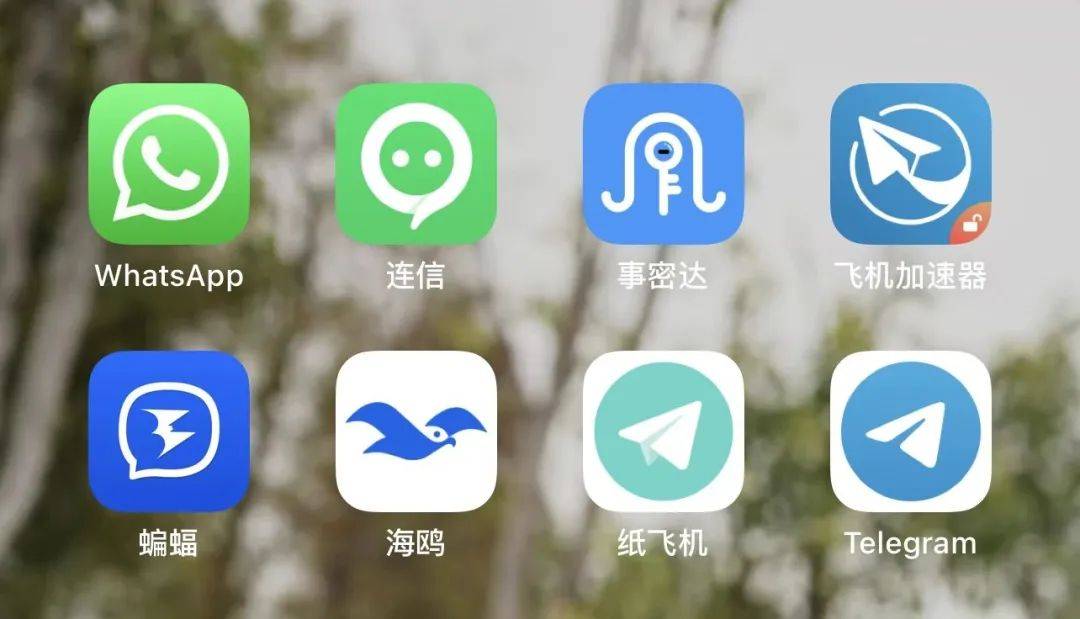 纸飞机app聊天软件下载最新版_纸飞机telegeram官网版下载