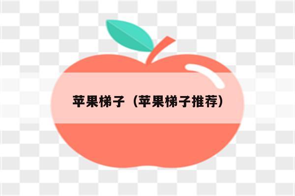 手机上的梯子软件_手机上的梯子软件有哪些