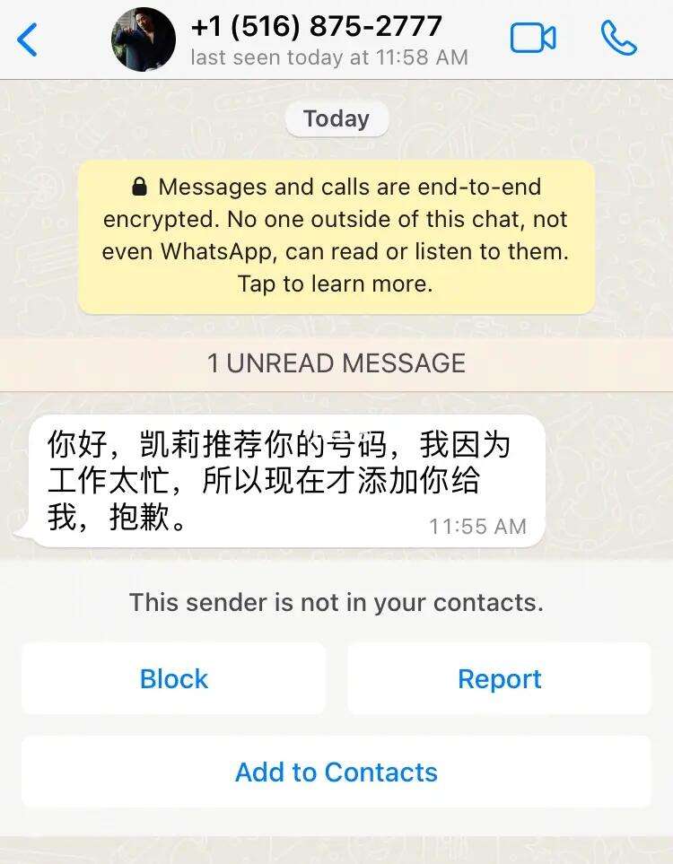 whatsapp英文_whatsapp英文缩写
