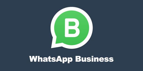 whatsappbusiness安卓下载安装_whatsappbusinessdownload