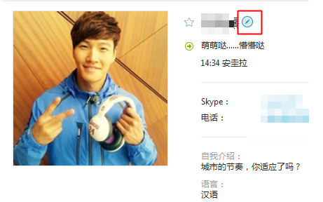 skype的汉语意思_skype意思中文翻译
