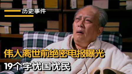 发电报视频_母鸟发电报视频