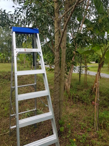 梯子苹果手机怎么安装_梯子苹果手机怎么安装不了