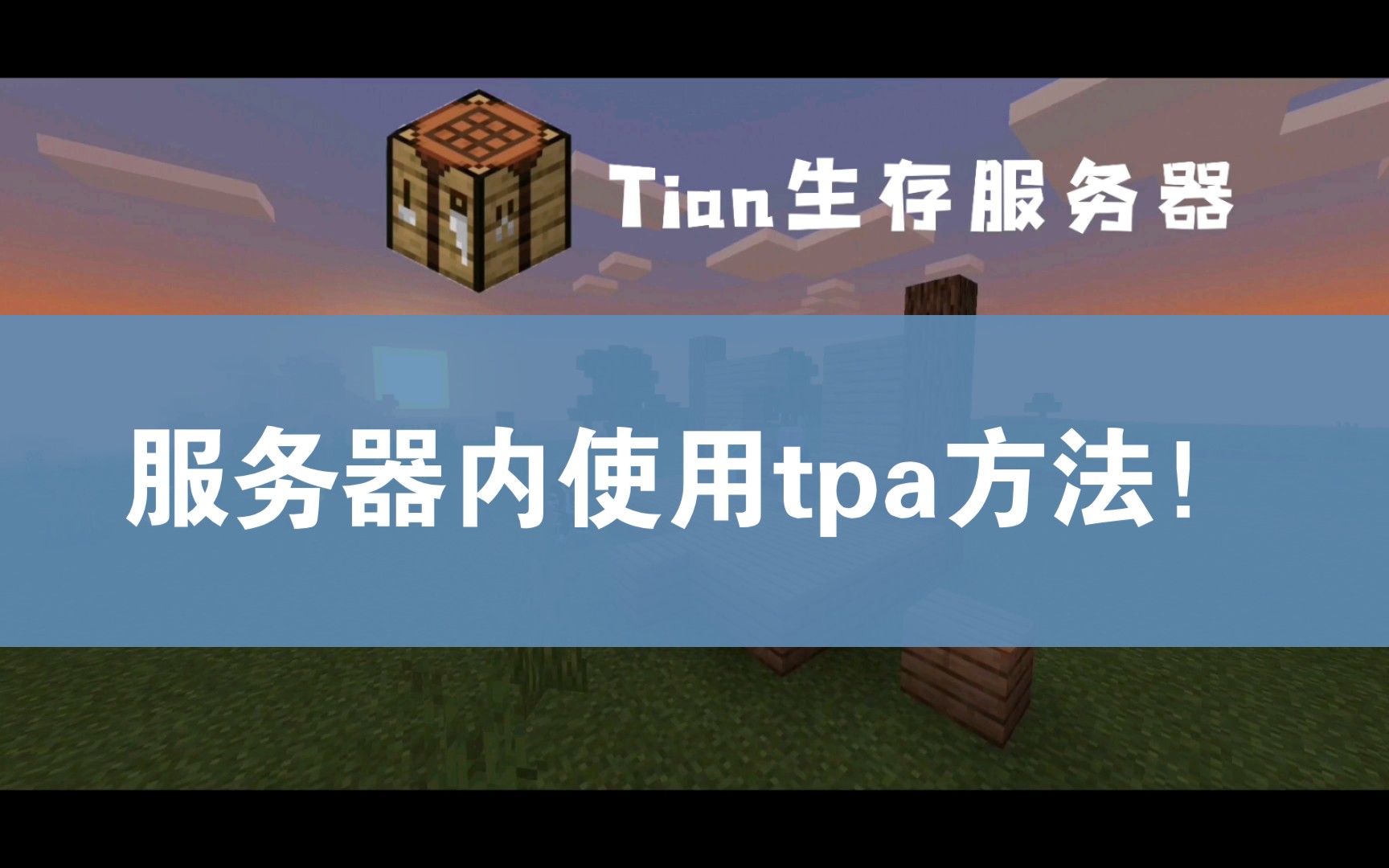 用手机搭建我的世界服务器_用手机搭建我的世界服务器怎么弄