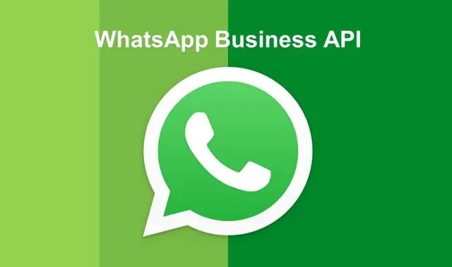 whatsapp发不了信息_whatsapp为什么发不出去消息