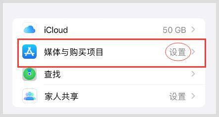 skype苹果版下载后登录不了_skype iphone下载不了