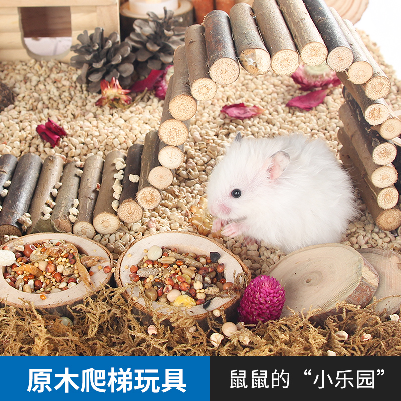 苹果有免费的梯子_苹果有没有免费梯子