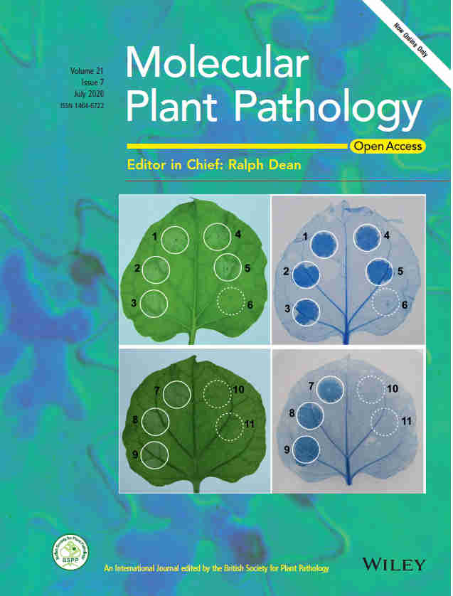 plastome_plastometric