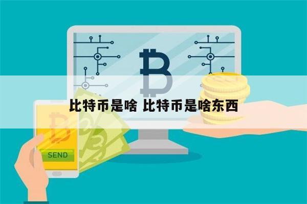 btc啥东西_btc btcs