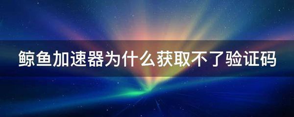 鲸鱼加速器最新版下载_鲸鱼加速器最新版下载安装