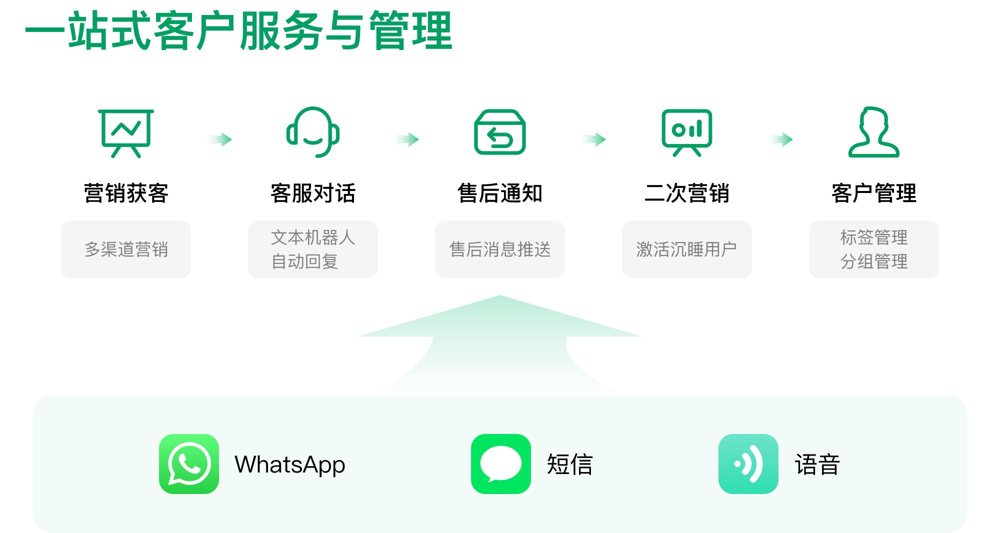 关于whatsappofficiallink的信息