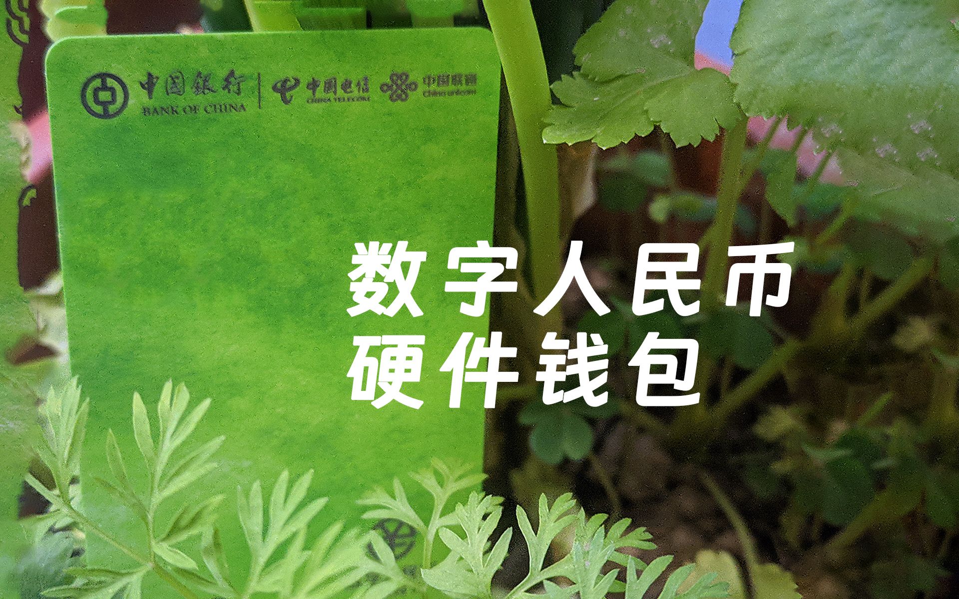 tp钱包iphone_tp钱包苹果官网版下载