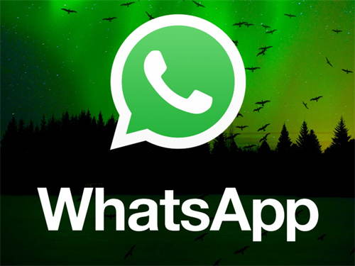 whatsapp下载_whats app 官网下载