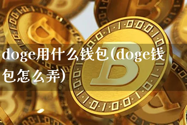 币圈三大钱包是什么_币圈三大钱包是什么意思