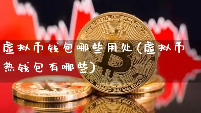 哪个虚拟币钱包最好用_哪个虚拟币钱包最好用啊