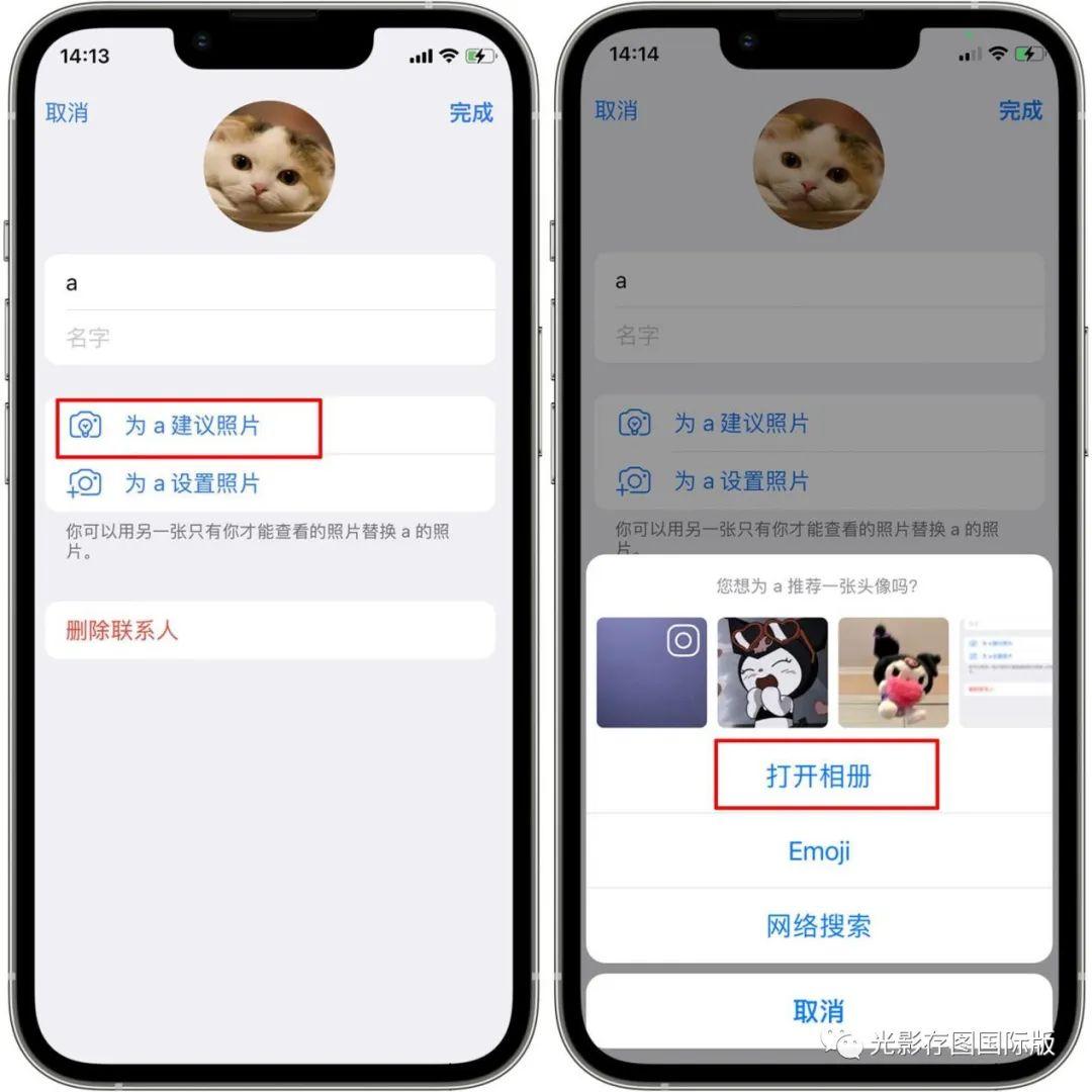 电报猴头像_电报猴王原视频