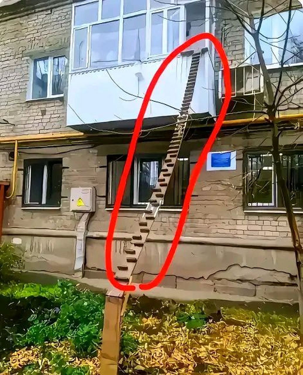 免费的手机梯子软件推荐_免费的手机梯子软件有哪些
