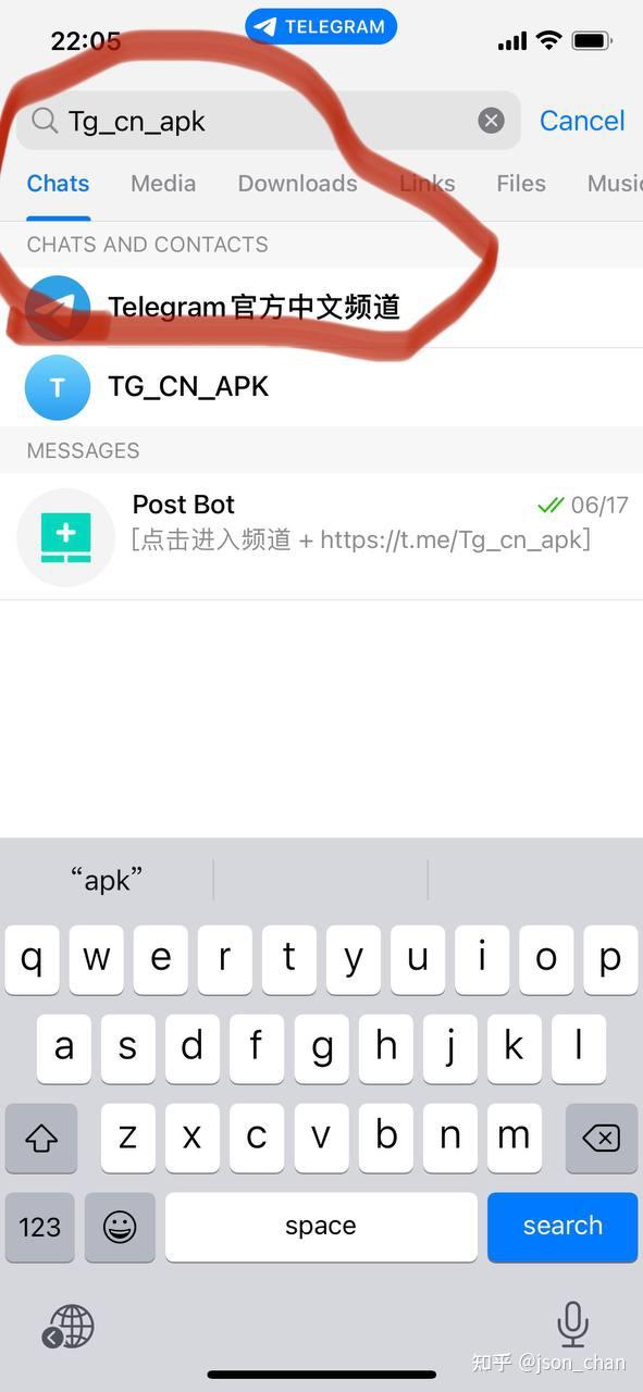 苹果版telegreat下载_telegreat中文版ios下载