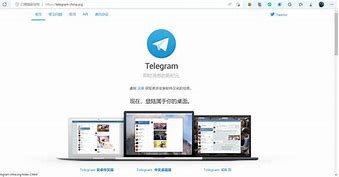 关于电报telegeram官网灰色的信息