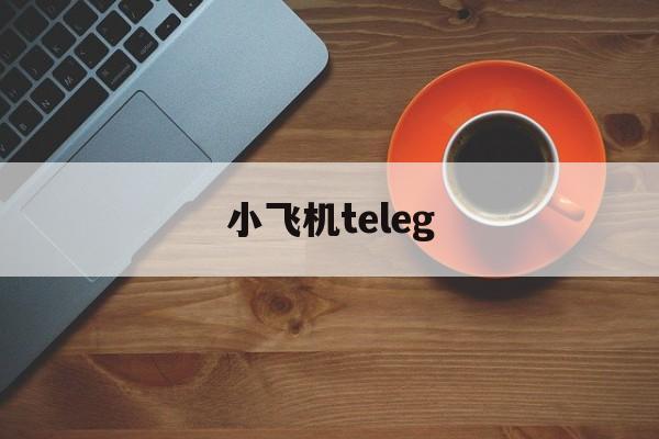 [小飞机teleg]telegerm下载